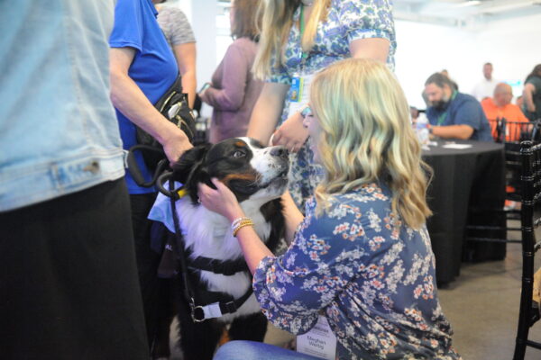 conference-therapy-dogs